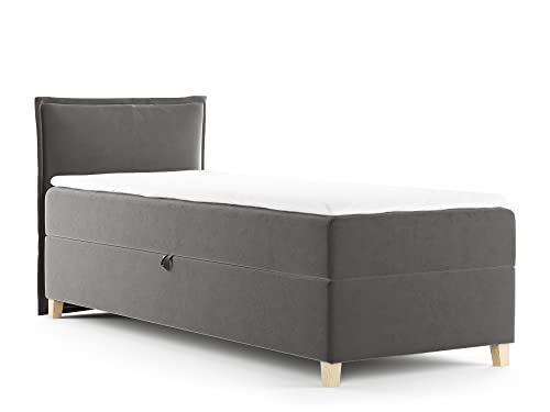 Boxspringbett Fren Mini mit Bettkasten - Einzelbett mit Bonell-Matratze und Topper, Polsterbett mit Holzfüße, Bett, Schlafzimmer, Kinderzimmer (Graphit (Kronos 22), 100 x 200 cm) von Sofnet