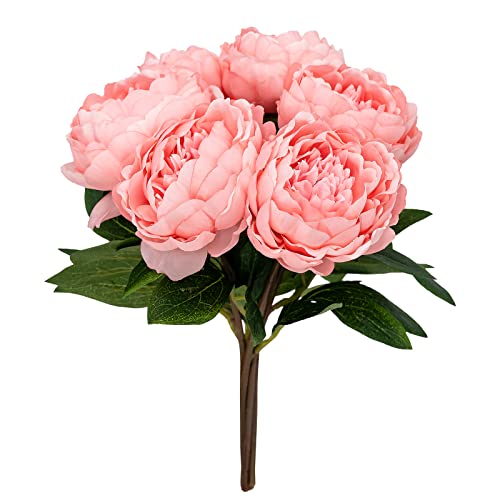 Softflame 850916 Künstliche/künstliche Blumen, Pfingstrose, Rosa, 6 Stück von Softflame