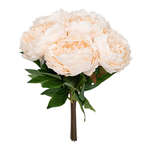 Softflame Künstliche/künstliche Blumen – Pfingstrosen, Weiß, 6 Stück für Hochzeit, Zuhause, Party, Restaurant (850893) von Softflame