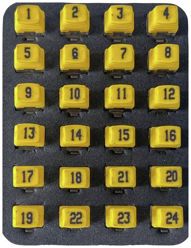 Softing Remote Identifier 226581 PD_RK224 Netzwerk von Softing