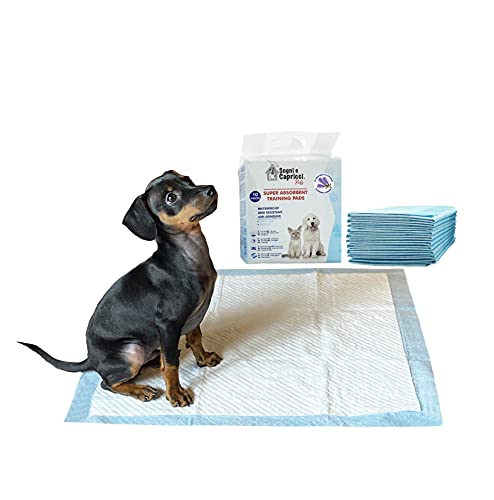 Italian Bed Linen Saugfähige Pets, Polyurethan, Lavendel, 80 Unterlagen von Italian Bed Linen