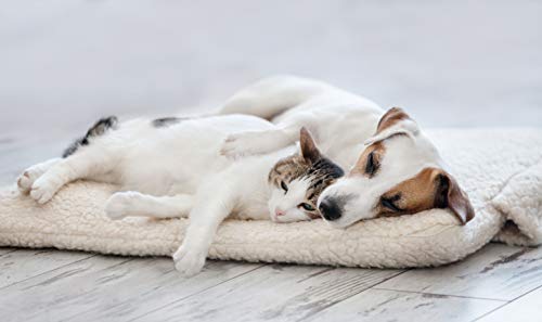 Italian Bed Linen Sogni e Capricci Pets Heizmatte, cremefarben, 64 x 49 cm Italian Bed Linen Sogni e Capricci Pets Heizmatte, cremefarben, 64 x 49 cm von Italian Bed Linen