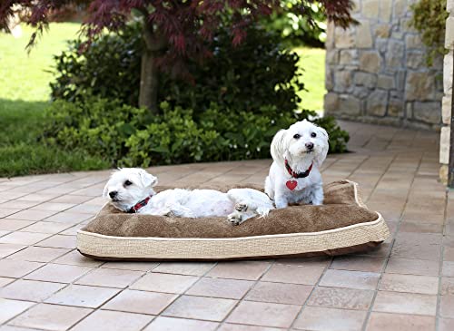 Sogni e capricci Hund und Katz 4 Jahreszeiten Kissen, turteltaube, 66x49x12cm, Polyester, Sogni e capricci Hund und Katz 4 Jahreszeiten Kissen, turteltaube, 66x49x12cm, Polyester, von Italian Bed Linen