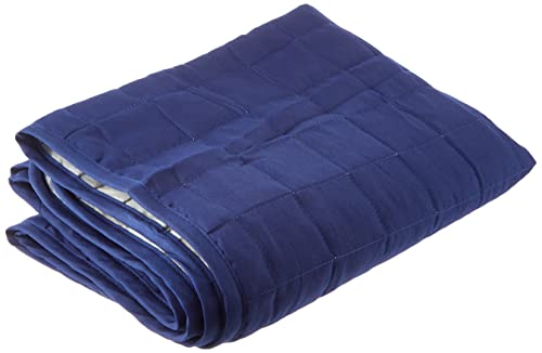 Italian Bed Linen Art-WT Grau CHI-60 x 190 cm Sofabezug wasserdicht, Mikrofaser, Dunkelblau/Hellgrau von Italian Bed Linen