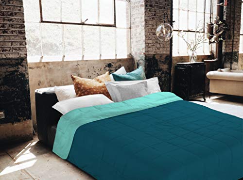 Italian Bed Linen Sogni e capricci Sommerfederbett Grüne Flasche/Wasser grü, Mikrofaser, 250x200cm Italian Bed Linen Sogni e capricci Sommerfederbett Grüne Flasche/Wasser grü, Mikrofaser, 250x200cm von Italian Bed Linen