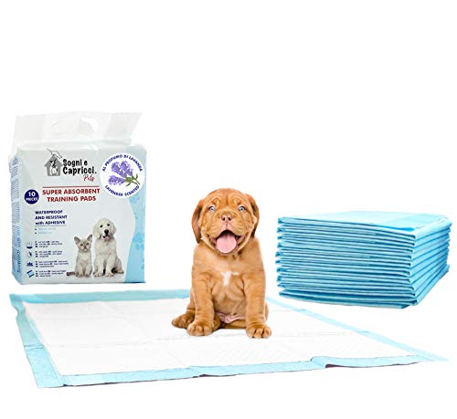 Italian Bed Linen Saugfähige Pets, Polyurethan, Lavendel, 10 Unterlagen von Italian Bed Linen