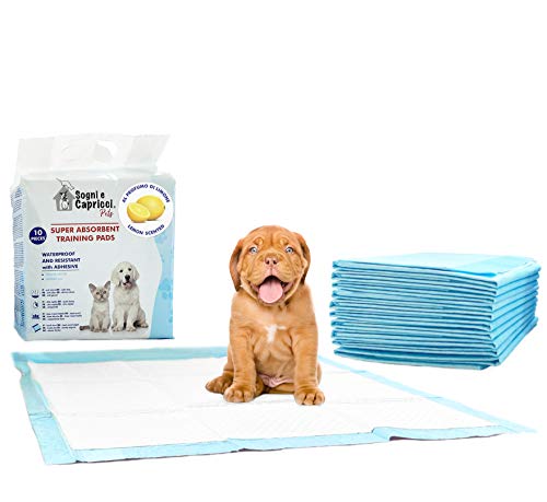 Italian Bed Linen Saugfähige Pets, Polyurethan, Zitrone, 160 Unterlagen von Italian Bed Linen