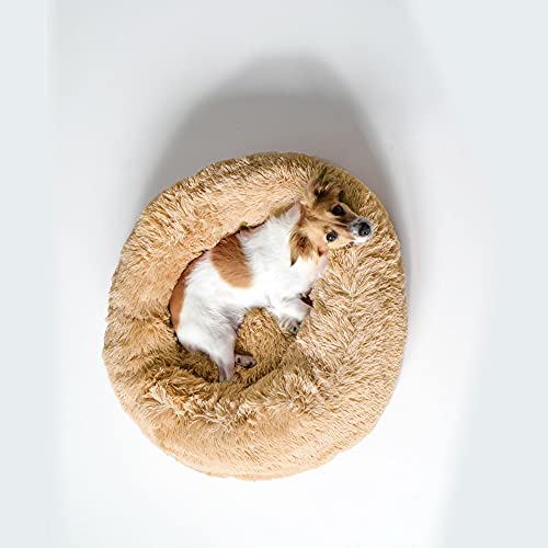 Italian Bed Linen Hundebett “Dreams, Vanille, 50x50x20 cm von Italian Bed Linen