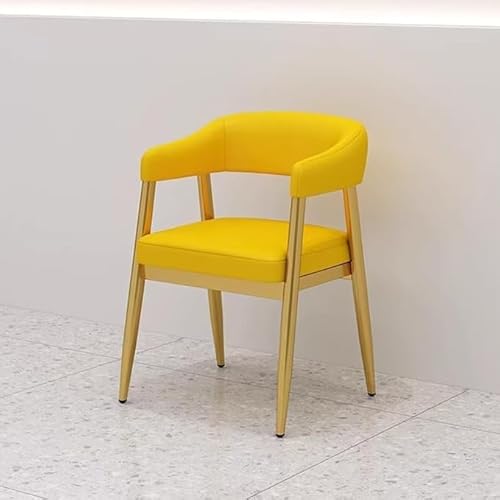Sohodoo Akzentstuhl, Esszimmerstuhl, Lounge-Stühle mit hohler Rückenlehne, Moderne Sessel, Möbelstühle for Schlafzimmer, Wohnzimmer, kommerzieller Schminkstuhl(D) von Sohodoo