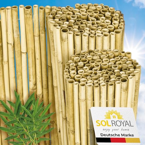 Sol Royal Hell Glänzend Premium Bambus Sichtschutz 90 hoch – Hochwertig Bambusrohre Ø2-3cm Witterungsbeständig – Bambuszaun Gartensichtschutz Balkon Sichtschutz Bambus Sichtschutzzaun 90x250cm – B99 von Sol Royal