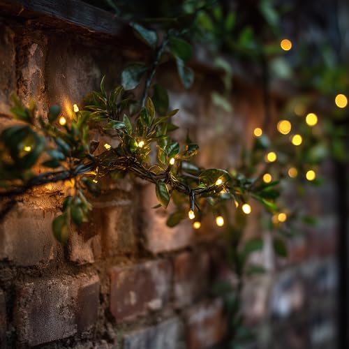 Lumify® USB aufladbare weiße & warmweiße Outdoor-Solarbetriebene Feenlichter - DualWhite, 300 LEDs von Solar Centre