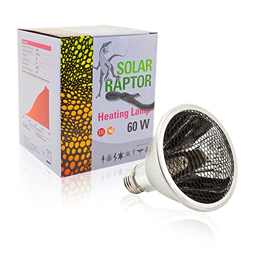 SOLAR RAPTOR Heating Lamp, 60 Watt, mit Schutzgitter, Heizstrahler für Terrarien, für E27 Fassung, Wärmelampe für Reptilien von SOLAR RAPTOR