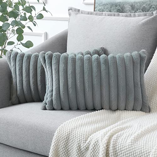 Soleebee 2er Set Plüsch Samt Kissenbezüge, Weiche Künstliche Pelz Dekorativ Kissenbezug Sofa Zierkissenbezüge Dekokissen Kissenhülle Set für Couch Schlafzimmer Zuhause Auto Dekor (30x50cm, Grau) von Soleebee