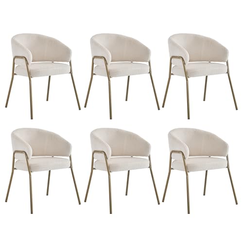 Solisburne Esszimmerstuhl im 6er Set, Moderner Polsterstuhl aus weißem Lamm-Samt mit Gold-Finish, Esszimmerstuhl mit goldenen Metallbeinen für Wohnzimmer, Küche und Cafés von Solisburne