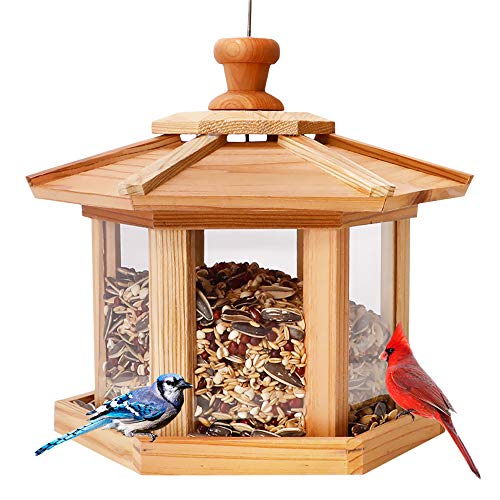 Solution4Patio Expert in Garden Creation #G-B121A00-US Sechseckiger Pavillon Vogelfutterstation Japanesecedar von Solution4Patio Expert in Garden Creation
