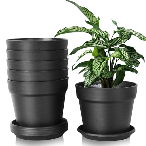 Solvant 6 Stück Kunststoff Blumentopf,Blumentopf mit Untersetzer, 16cm Pflanzentopf Mit Mehreren DrainagelöChern, Runde TöPfe FüR Drinnen Und Auf Dem Balkon, Saftige Kakteen(Schwarz, 16CM) von Solvant