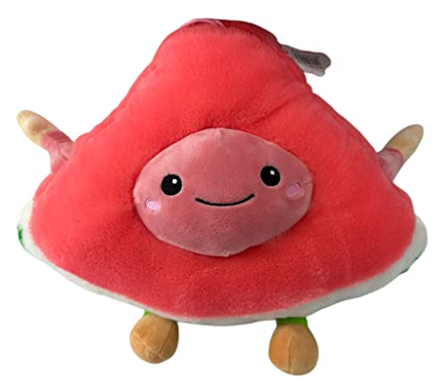 Soma Plüsch Kissen Kinder Kissen Kinder Kuschelkissen Melonen Kissen mit Gesicht zum kuscheln Melonen Kuscheltier (Melone Pastell 30 cm) von Soma