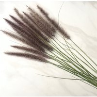 Getrocknete Lila Brunnen Gräser | Ziergras Blumengesteck Boho Dekor Herzstück, Tischlandschaft von SomervilleGardens