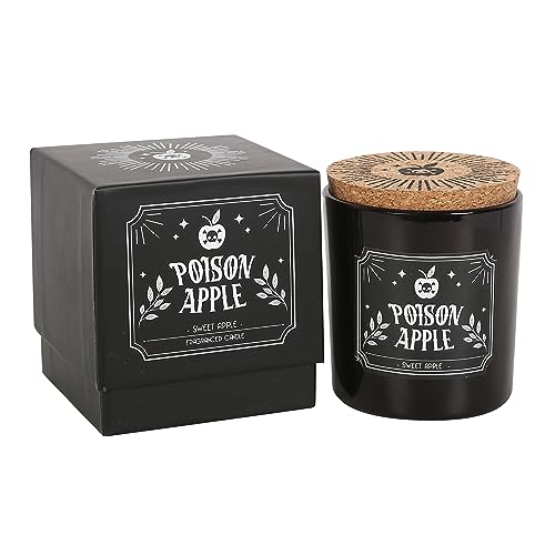 Enchanting Poison Apple Candle – fesselnde und verführerische Duftmischung für 21 Stunden Brenndauer – bezaubernde und verwöhnende sensorische Erfahrung von Something Different Wholesale