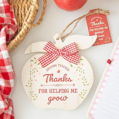 Hängende Dekoration mit Aufschrift Thanks for Helping Me Grow Apple – Herzliches Geschenk für Lehrer – bedeutungsvolle Botschaft – unvergessliches Andenken – ideal für Lehrer Wertschätzung Hängende Dekoration mit Aufschrift Thanks for Helping Me Grow Apple – Herzliches Geschenk für Lehrer – bedeutungsvolle Botschaft – unvergessliches Andenken – ideal für Lehrer Wertschätzung von Something Different Wholesale