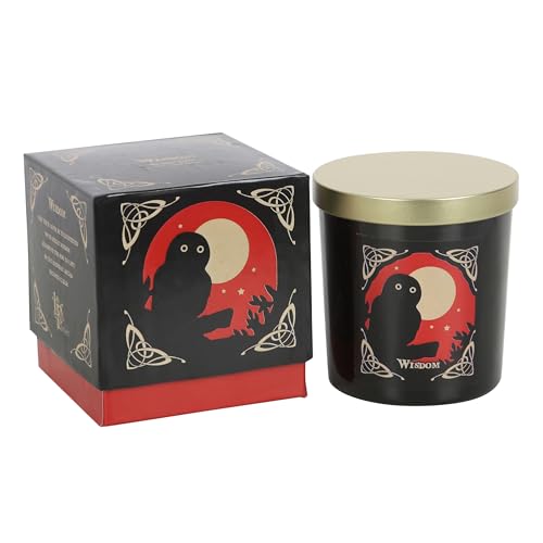 Lisa Parker Weg der Hexe Weisheitskerze: Geschenk-Serie, Manifestation & Meditation mit Sandelholz-Aroma für Erdung und Klarheit Lisa Parker Weg der Hexe Weisheitskerze: Geschenk-Serie, Manifestation & Meditation mit Sandelholz-Aroma für Erdung und Klarheit von Something Different Wholesale