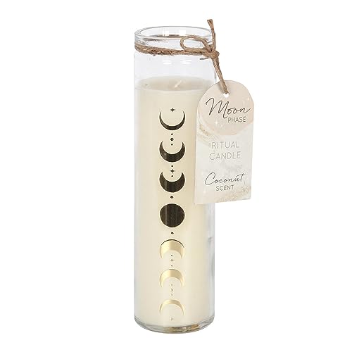 Moon Phase Coconut Tube Kerze: 7-Tage-Gebets- und Manifestationskerze mit Kokosnuss-Duft, entspannendes Zuhause und spirituelles Dekor, 25 Stunden Brenndauer Moon Phase Coconut Tube Kerze: 7-Tage-Gebets- und Manifestationskerze mit Kokosnuss-Duft, entspannendes Zuhause und spirituelles Dekor, 25 Stunden Brenndauer von Something Different Wholesale
