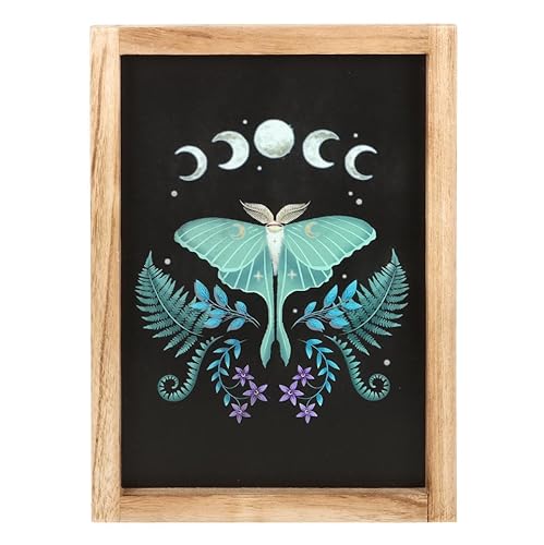 Something Different Wholesale Atemberaubende Wandkunst: Luna-Motten-Design, Verzauberung und Geheimnis, perfektes Statement-Stück Something Different Wholesale Atemberaubende Wandkunst: Luna-Motten-Design, Verzauberung und Geheimnis, perfektes Statement-Stück von Something Different Wholesale