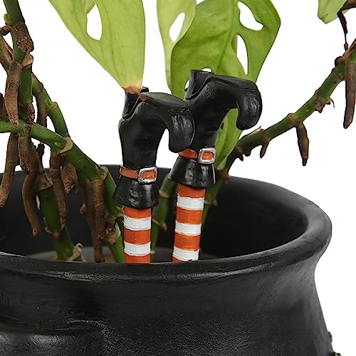 Something Different Wholesale Verzaubern Sie Ihr Zuhause mit einem Set von 2 geheimen Hexenbein-Blumentopf-Ornamenten und einer bösen charmanten Heimdekoration Something Different Wholesale Verzaubern Sie Ihr Zuhause mit einem Set von 2 geheimen Hexenbein-Blumentopf-Ornamenten und einer bösen charmanten Heimdekoration von Something Different Wholesale
