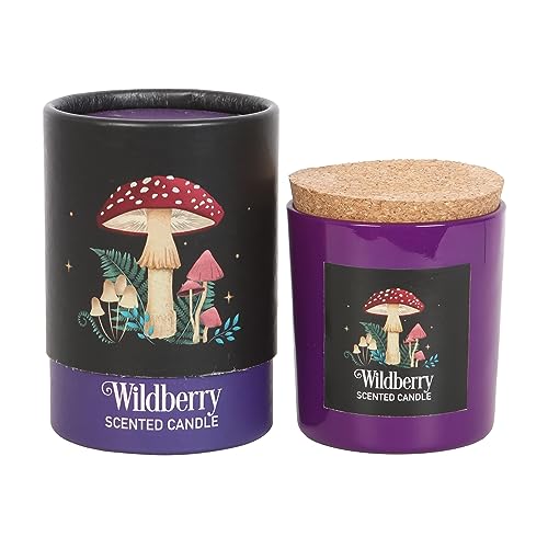 Something Different Wholesale - Kerze | Wildbeer-Duft, mystisches Pilz-Design, veganes Paraffinwachs, 25 Stunden Brenndauer, Magisch inspiriertes Ambiente von Something Different Wholesale