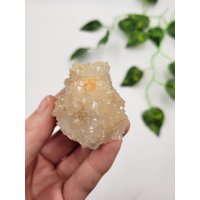 Bergkristall Blume. Endquarz. 100% Natürliche Formation. Seltenere Lage. Washington State von SomethingMined