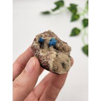 Canvansite Auf Stilbite. Blauer Canvansite. Seltene Fomation. 100% Natürliche Formation. Indien. Spikes Canvansite Auf Stilbite. Blauer Canvansite. Seltene Fomation. 100% Natürliche Formation. Indien. Spikes von SomethingMined