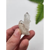 Chlorit Enthalten Quarz Punkt. 100% Natürliche Auflösung. Brazilien von SomethingMined