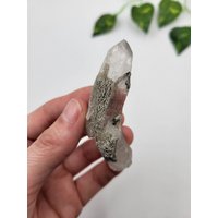 Chloritquarz. Natürlicher Chlorit Eingeschlossener Quarz Mit Glimmer. Grüner Quarz. Baltistan, Pakistan Chloritquarz. Natürlicher Chlorit Eingeschlossener Quarz Mit Glimmer. Grüner Quarz. Baltistan, Pakistan von SomethingMined