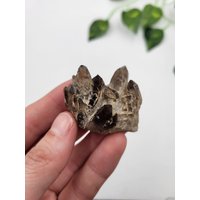 Kalifornien Rauchquarz Cluster. Rauchquarz-Endung. 100% Natürliche Rauchspitze. Mojave Wüste Kalifornien Rauchquarz Cluster. Rauchquarz-Endung. 100% Natürliche Rauchspitze. Mojave Wüste von SomethingMined