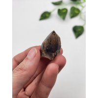 Montana Rauchquarz Punkt. Rauchquarz-Endung. 100% Natürliche Rauchspitze Montana Rauchquarz Punkt. Rauchquarz-Endung. 100% Natürliche Rauchspitze von SomethingMined