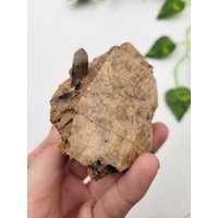 Montana Rauchquarz Punkte Auf Fledspar. Rauchquarz-Endung. 100% Natürliche Rauchspitze Montana Rauchquarz Punkte Auf Fledspar. Rauchquarz-Endung. 100% Natürliche Rauchspitze von SomethingMined