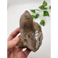 Orange Fluss Rauchquarz Cluster. 100% Natur. Xl Rauchquarz-Endung Orange Fluss Rauchquarz Cluster. 100% Natur. Xl Rauchquarz-Endung von SomethingMined