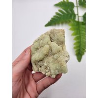 Riker Hill Prehnit. Natürlicher 100% Natürliche Formation. New Jersey von SomethingMined