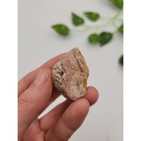 Roh Rhodochrosit. 100% Natürliche Formation. Argentinien. Rosa Rhodochrosit von SomethingMined