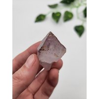 Rohe Eingeschlossene Amethystwurzel - Natürliche Terminierung Brasilien Rohe Eingeschlossene Amethystwurzel - Natürliche Terminierung Brasilien von SomethingMined