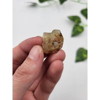 Roher Gelber Apatit. Natürlicher 100% Natürlich. Apatit Specimen. Durango, Mexiko von SomethingMined