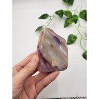 xl Getrommeltes Versteinertes Holz. 100% Natur | Neben Poliert. Poliertes von SomethingMined