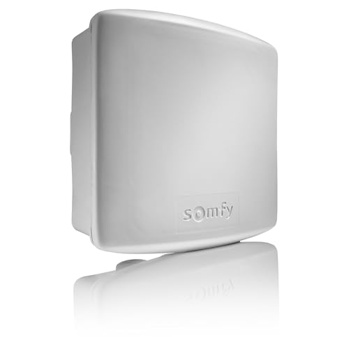 Somfy 2400556 - Universal-Außentor/Garagentor-Empfänger | RTS-Technologie von Somfy