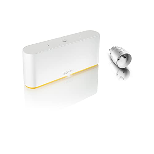 Somfy 1870998 - Tahoma Switch + Somfy Plug io, SmartHome Zentrale + Lichtsteuerung, io, RTS, Zigbee 3.0, Sprachsteuerung mit Amazon Alexa, Appple HomeKit & Google Assistant von Somfy