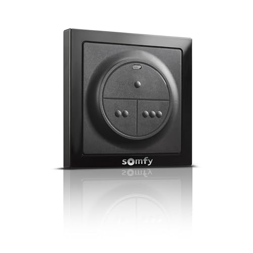 Somfy 1871131 - io Wand-Funksteuerung | Zur Steuerung eines Garagen- oder Tormotors und/oder der Beleuchtung, Schwarz von Somfy