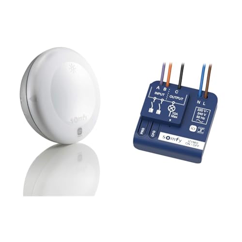 Somfy 2401219 - Funk-Sonnensensor Sunis Wirefree io | Batteriebetrieben | Kompatibel mit Tahoma (Switch), Weiß & 1822649 - Izymo Licht-Empfänger io AN/AUS | Tahoma (Switch) kompatibel von Somfy