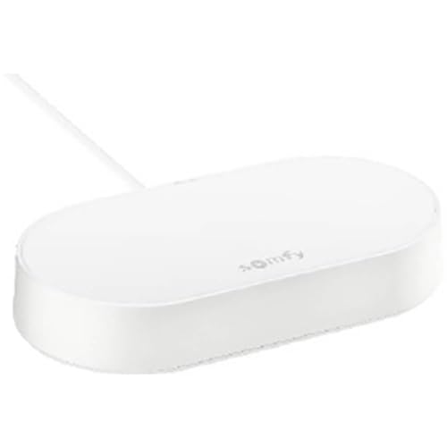 Somfy 1870755 - Connectivity Kit, Steuerung von Somfy Motoren und Beleuchtung, Kompatibel mit io & RTS Motoren, Sprachsteuerung über den Google Assistant, Amazon Alexa, HomeKit von Somfy