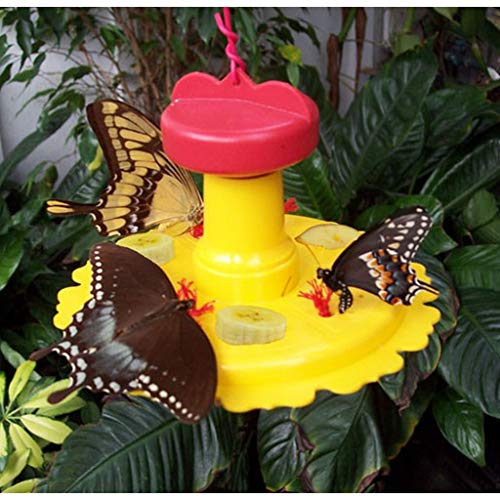 2 Stück Schmetterling Feeder von Songbird Essentials