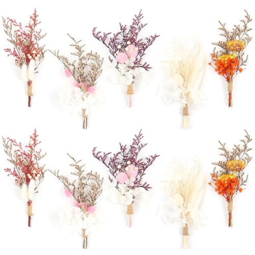 10Stück Mini Boho Getrocknete Blume Bouquet Trockenblumen Kleine Blumensträuße Mini Natürliche Echte Pflanzen für Hochzeit Tisch Mittelstücke Geschenkbox Home Vase Dekor DIY Handwerk(Billy Bälle) von Songjum