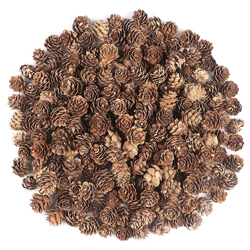 240Pcs Mini Weihnachten Tannenzapfen Natürliche Kiefernzapfen Weihnachten Kiefernzapfen Dekoration für Weihnachtsbaum Dekoration Vasenfüllung DIY Handwerk von Songjum